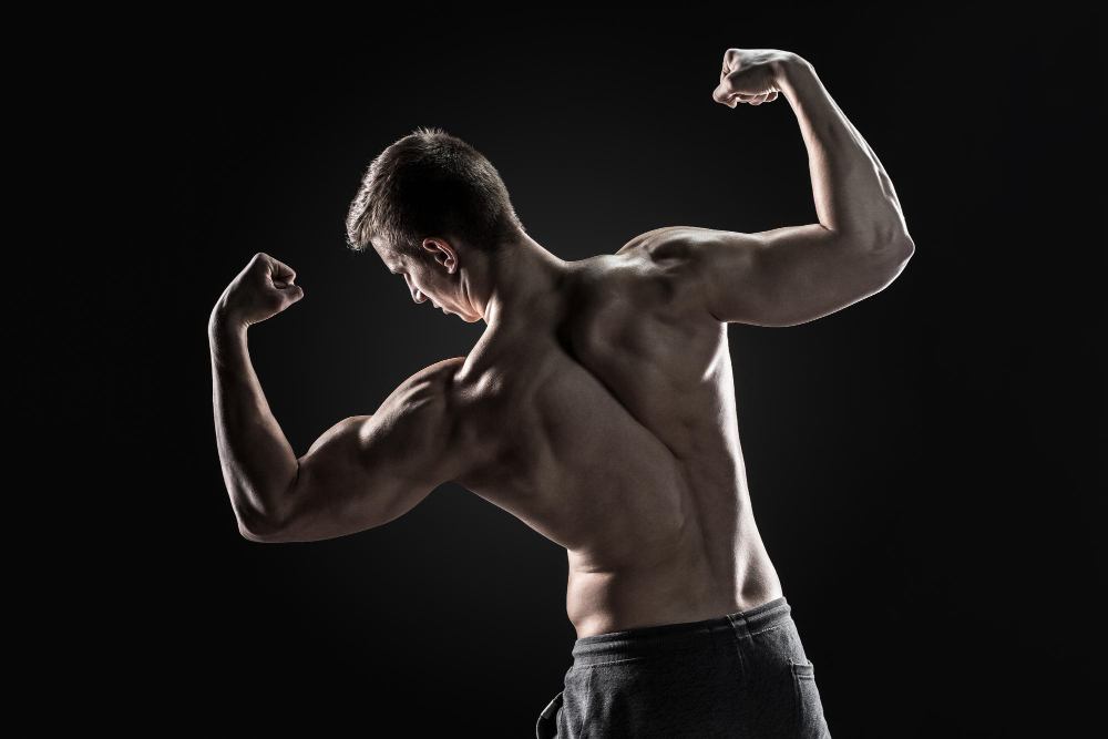 Achieving Peak Muscle Strength with Expert Physical Therapy